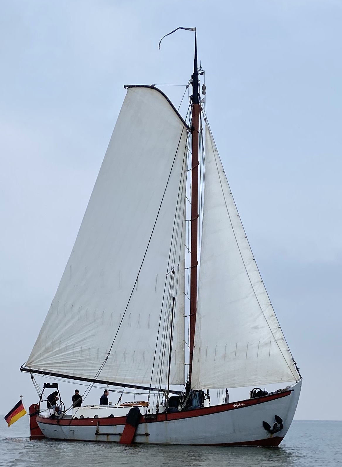 WALVIS Schiffergilde Bremerhaven e.V.